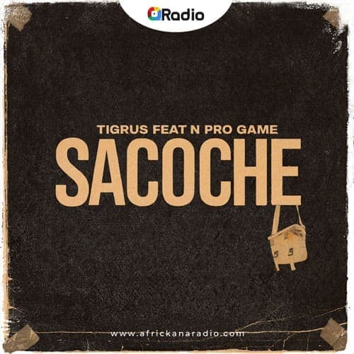 Sacoche - Tigrus